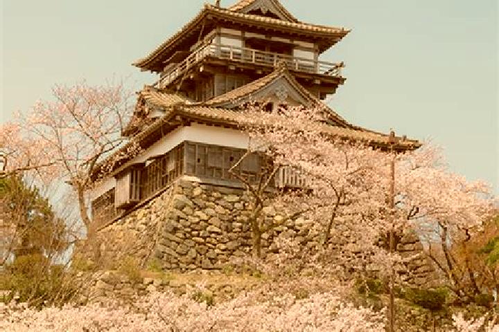 Aria, 35 — Escort in Sakai, Japan