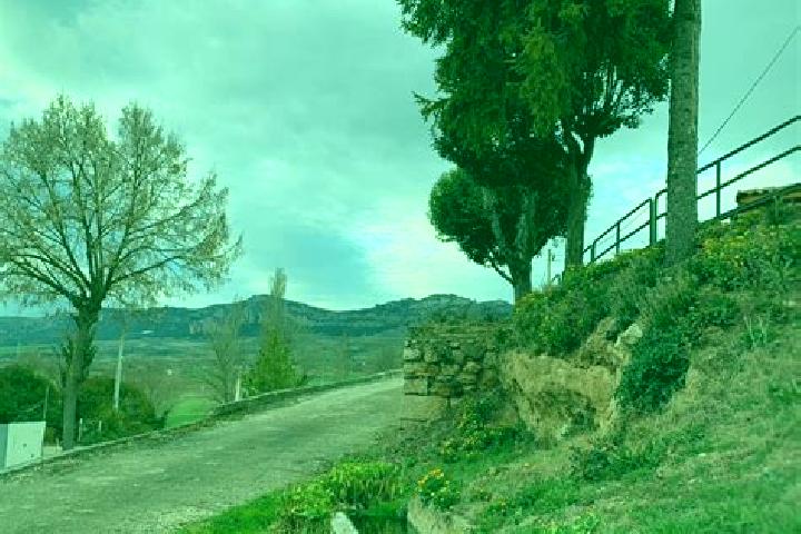 Aria, 35 — Escort in Santa Olalla de Bureba, Spain