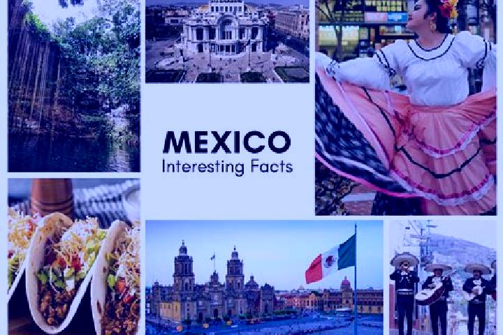 Aria, 35 — Escort in Zacamilola, Mexico