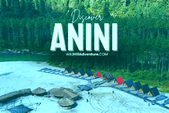 Aria, 36 — Escort in Anini, India