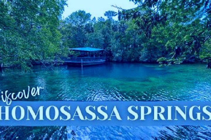 Aria, 36 — Escort in Homosassa Springs, United States