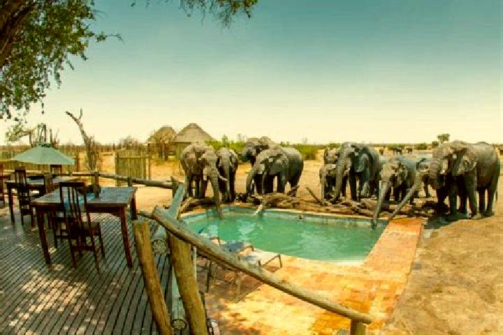 Aria, 36 — Escort in Hwange, Zimbabwe