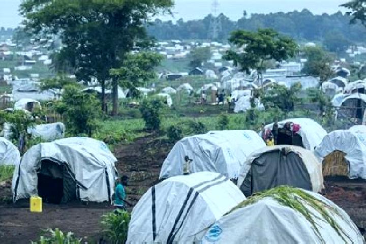 Aria, 36 — Escort in Kyangwali Refugee Camp, Uganda