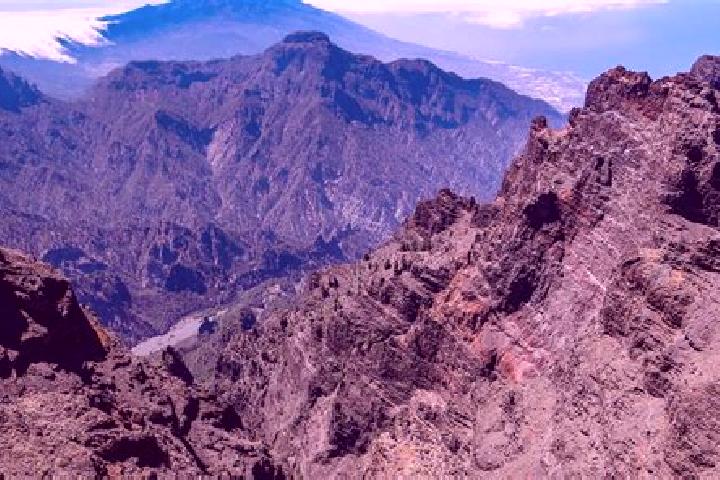 Aria, 36 — Escort in La Palma Uno, Mexico
