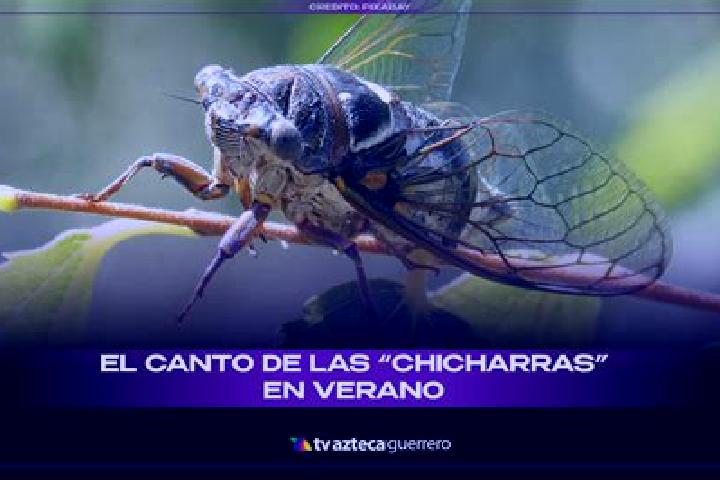 Aria, 36 — Escort in Las Chicharras, Mexico
