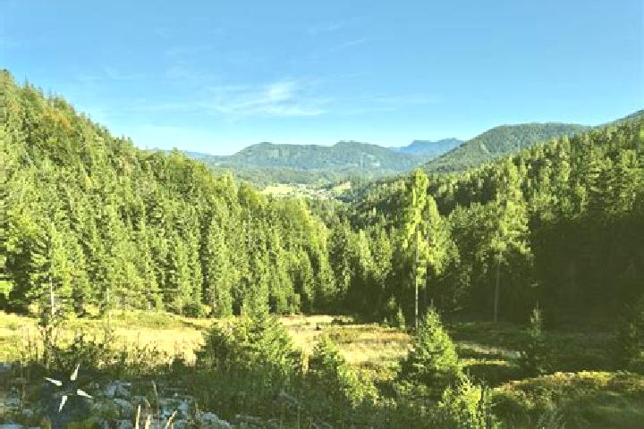 Aria, 36 — Escort in Rohr im Gebirge, Austria