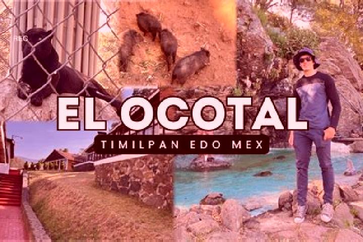 Aria, 36 — Escort in San Francisco Ocotal, Mexico