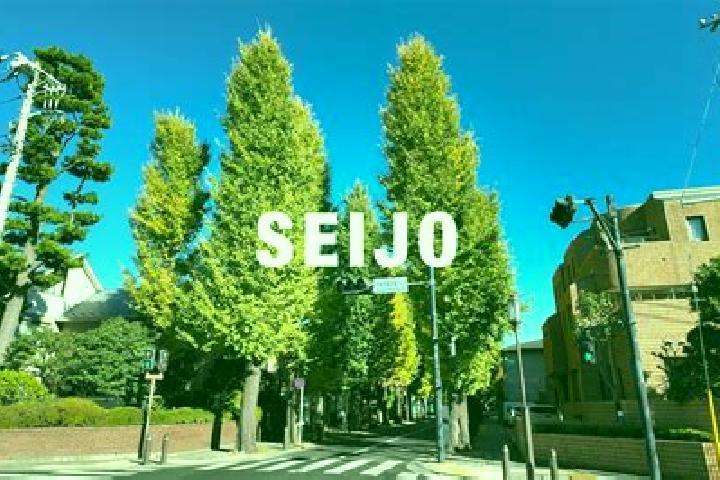 Aria, 36 — Escort in Setagaya, Japan