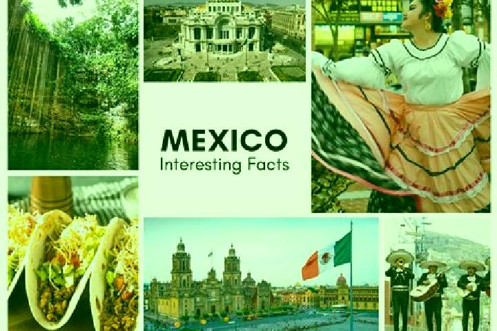 Aria, 37 — Escort in Bimbaletes, Mexico