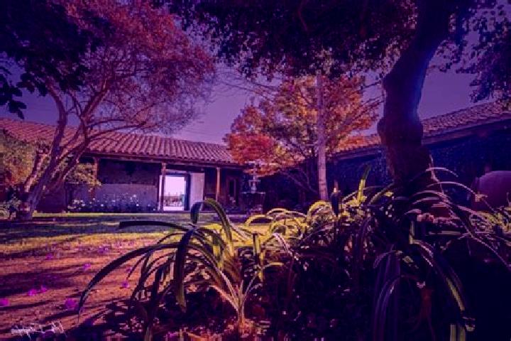 Aria, 38, a chestnut amber-eyed asian companion based in Rinconada de Los Andes. Offering Dinner Date, Striptease, Domination, OWO. Available for incall and ...