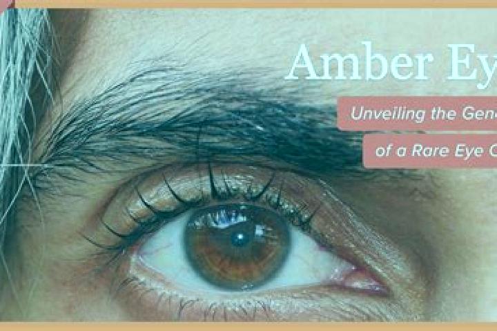 Aria, 38, a red amber-eyed mediterranean companion based in Olmos de Esgueva. Offering Duos, Overnight, Massage. Available for incall and outcall, overnight ...
