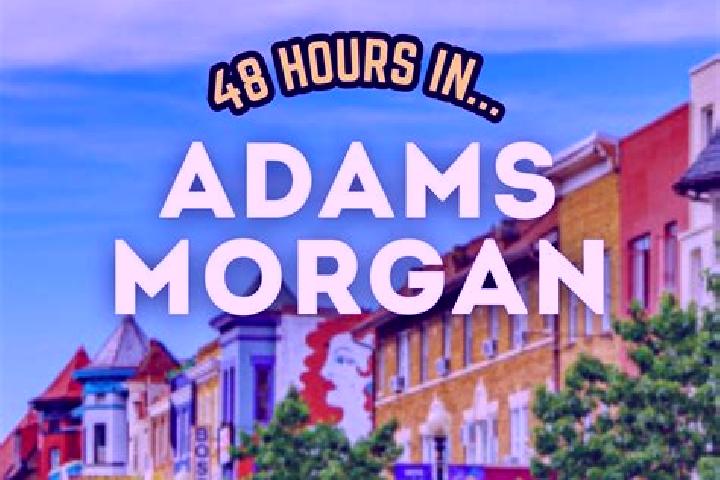 Aria, 38 — Escort in Adams Morgan, United States