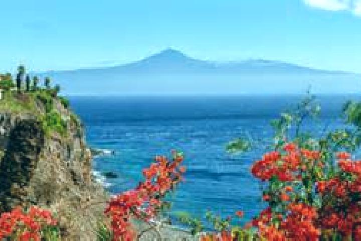 Aria, 38 — Escort in Piedra Hincada, Mexico