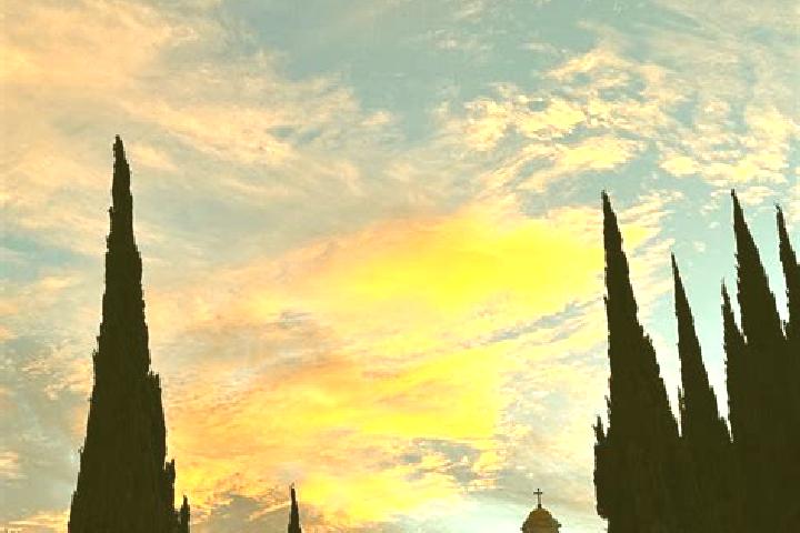 Aria, 38 — Escort in Tepeyanco, Mexico