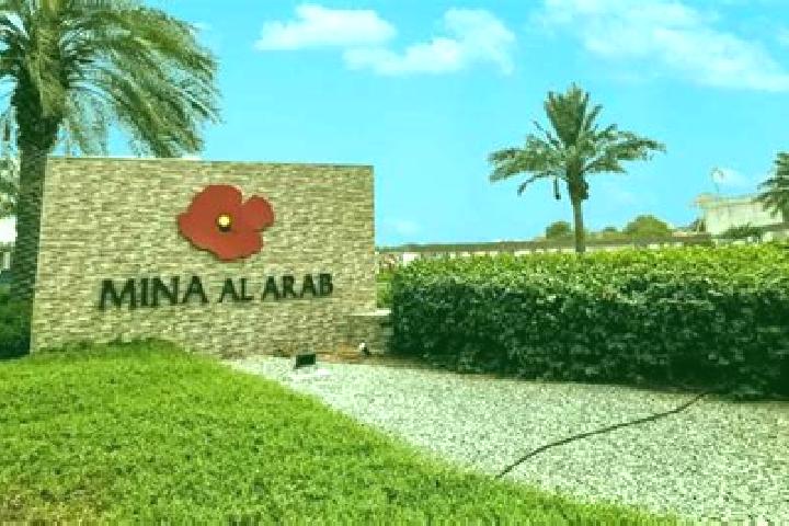 Aria, 39 — Escort in Al Qararah, Palestine
