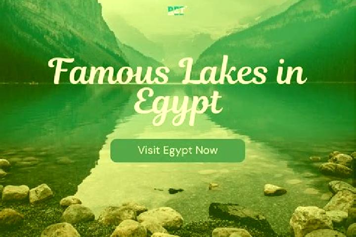 Aria, 39 — Escort in Al Qusiyah, Egypt