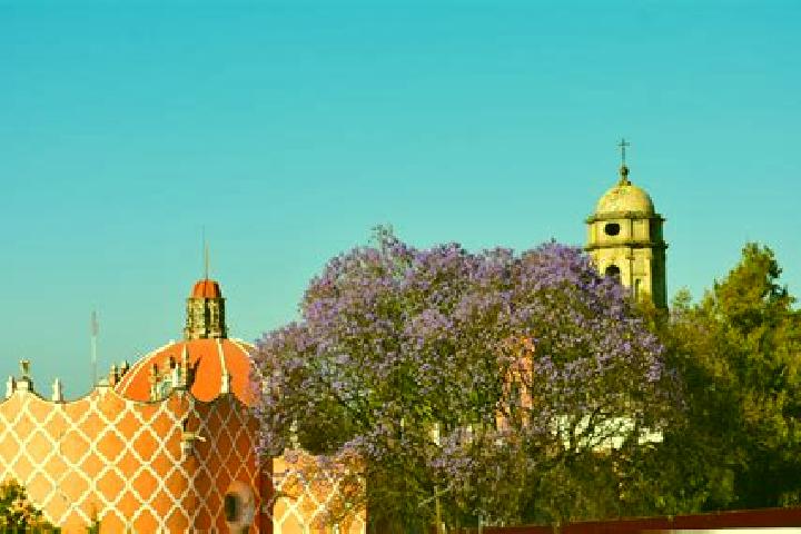 Aria, 39 — Escort in Colonia Ampliacion (San Miguel Tlahuac), Mexico