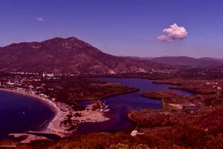 Aria, 39 — Escort in La Boquita, Mexico