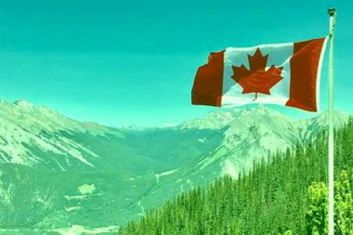 Aria, 39 — Escort in Lumsden, Canada