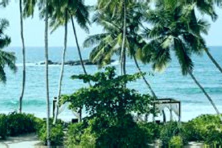 Aria, 39 — Escort in Tangalle, Sri Lanka