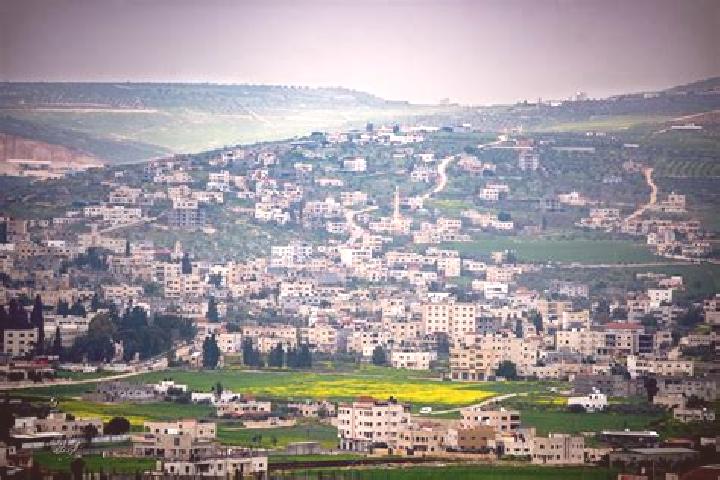 Aria, 39 — Escort in Tubas, Palestine