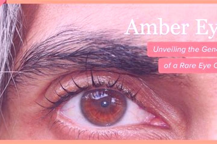 Ariana, 20, a red amber-eyed european companion based in Delisle. Offering Fetish, CIM. Available for incall and outcall, overnight bookings available.