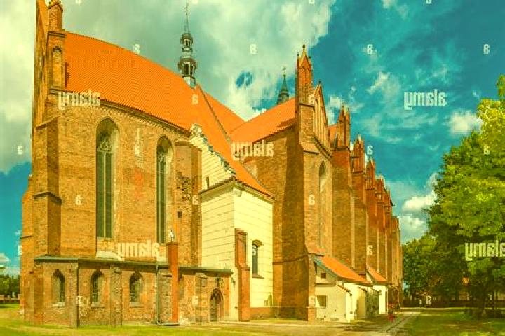 Ariana, 20 — Escort in Chelmno, Poland