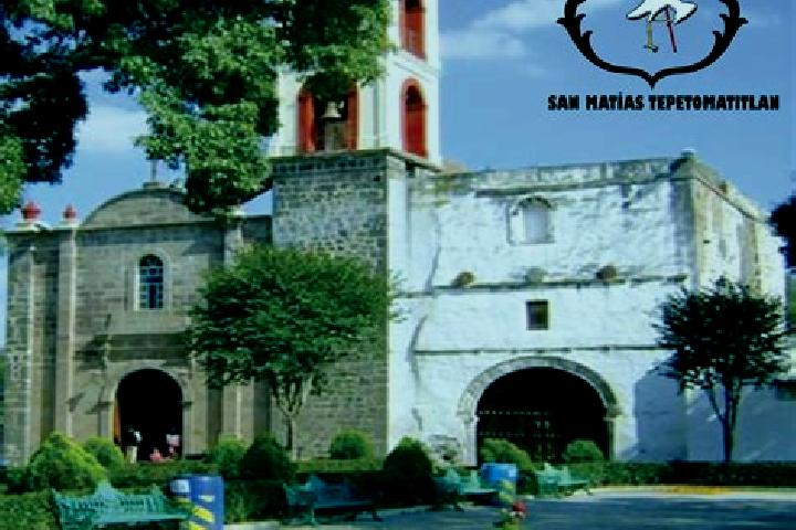Ariana, 20 — Escort in San Matias Tepetomatitlan, Mexico