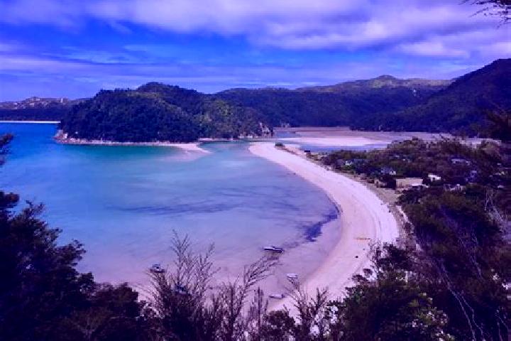 Ariana, 20 — Escort in Shelly Park, New Zealand