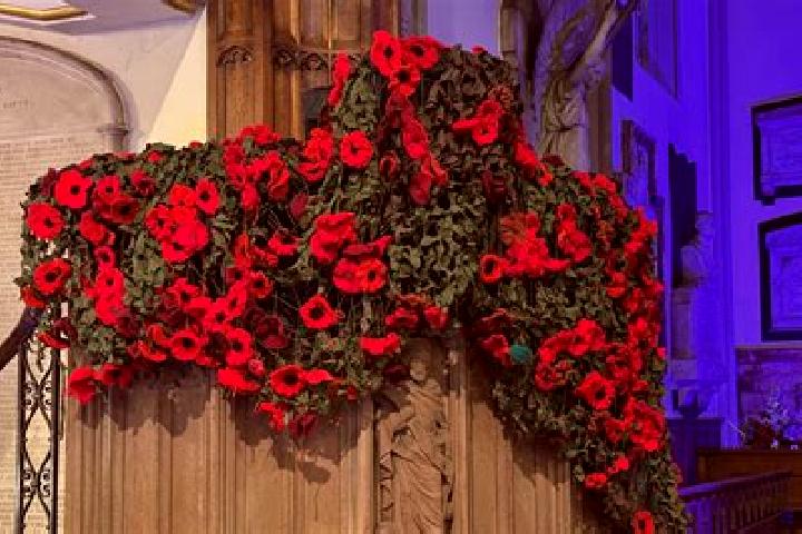 Ariana, 21 — Escort in Great Gransden, United Kingdom