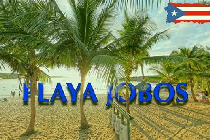 Ariana, 21 — Escort in Jobos, Puerto Rico