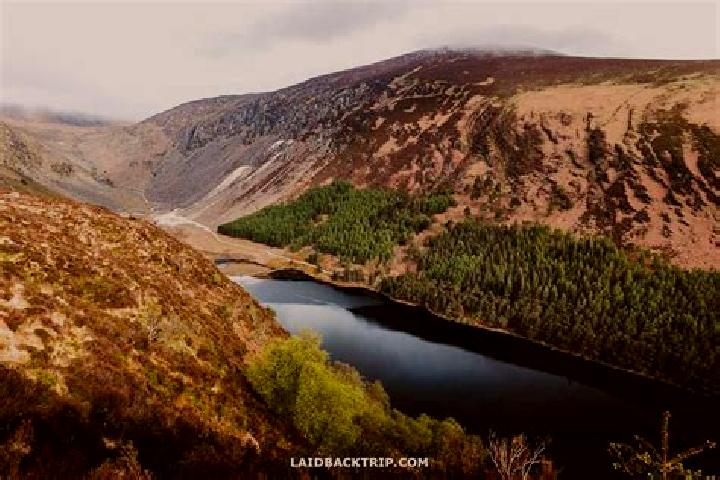 Ariana, 21 — Escort in Mucklagh, Ireland