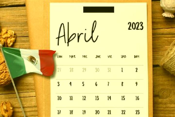 Ariana, 21 — Escort in Once de Abril, Mexico