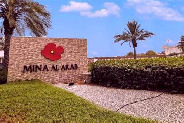 Ariana, 21 — Escort in Shaykh al Hadid, Syria