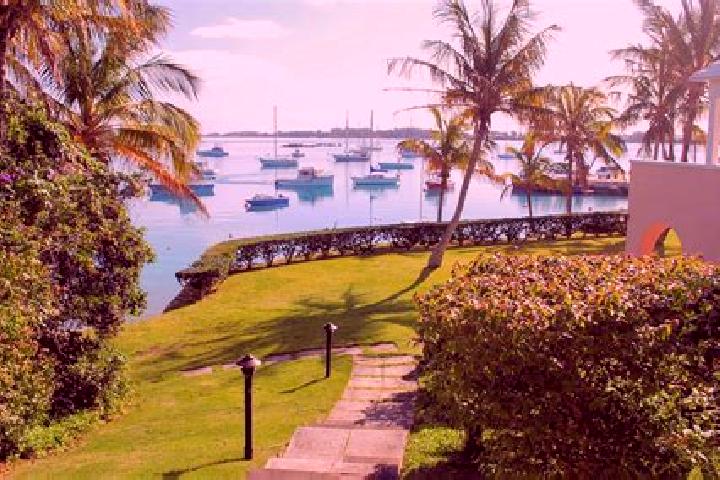 Ariana, 21 — Escort in Smith s Parish, Bermuda