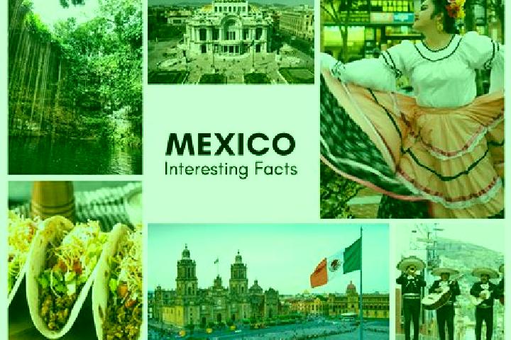 Ariana, 21 — Escort in Zoquite, Mexico