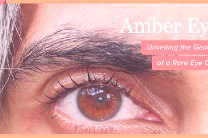 Ariana, 22, a black amber-eyed middle eastern companion based in Bara de Chachalacas. Offering Domination, Massage, Fetish. Available for incall and outcall,...