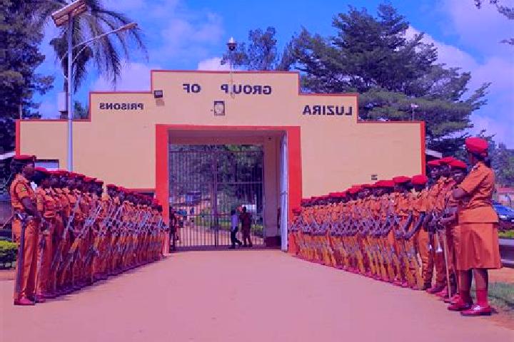 Ariana, 22 — Escort in Bulambuli, Uganda