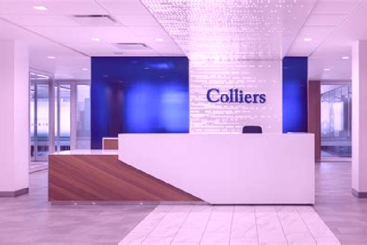 Ariana, 22 — Escort in Colliers, Canada