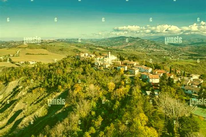 Ariana, 22 — Escort in Montecalvo in Foglia, Italy