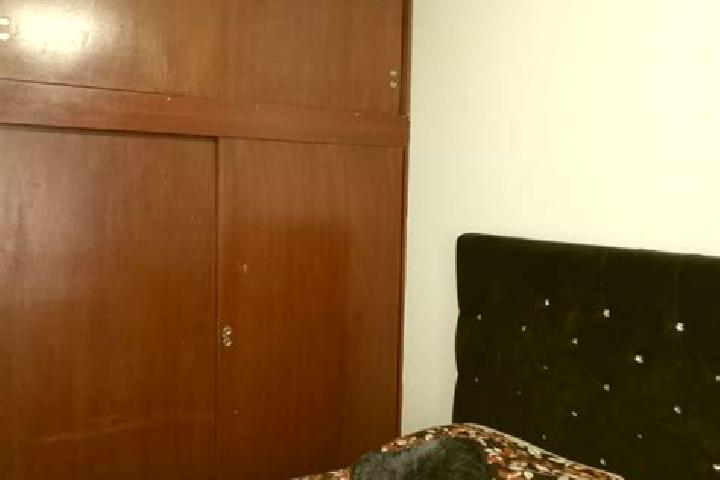 Ariana, 22 — Escort in Occidente 4ta. Seccion, Mexico