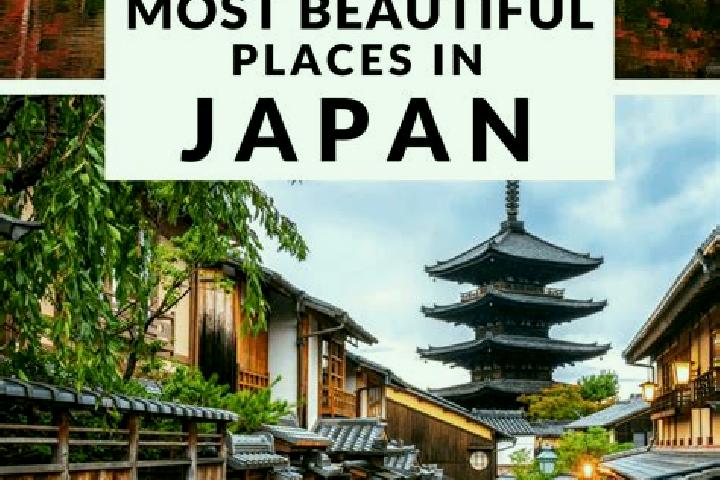Ariana, 22 — Escort in Ogi, Japan