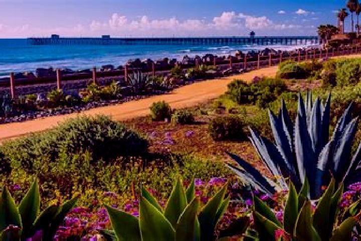Ariana, 22 — Escort in San Clemente, Spain