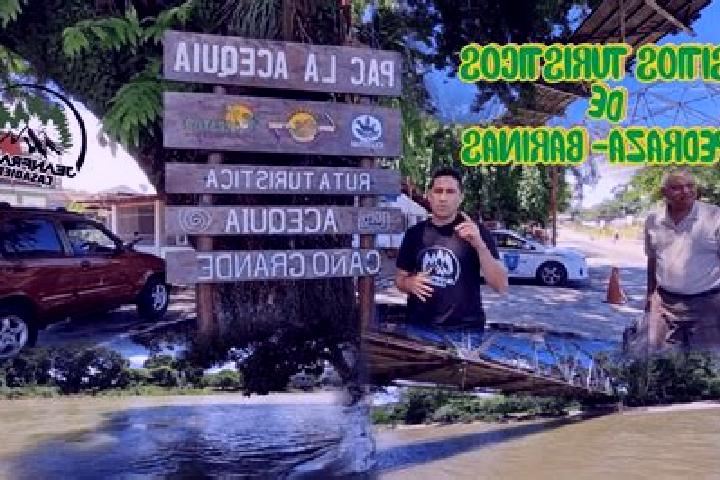 Ariana, 23 — Escort in Pedraza La Vieja, Venezuela
