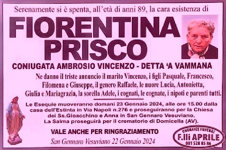 Ariana, 23 — Escort in San Gennaro Vesuviano, Italy