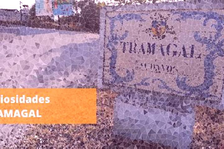 Ariana, 23 — Escort in Tramagal, Portugal