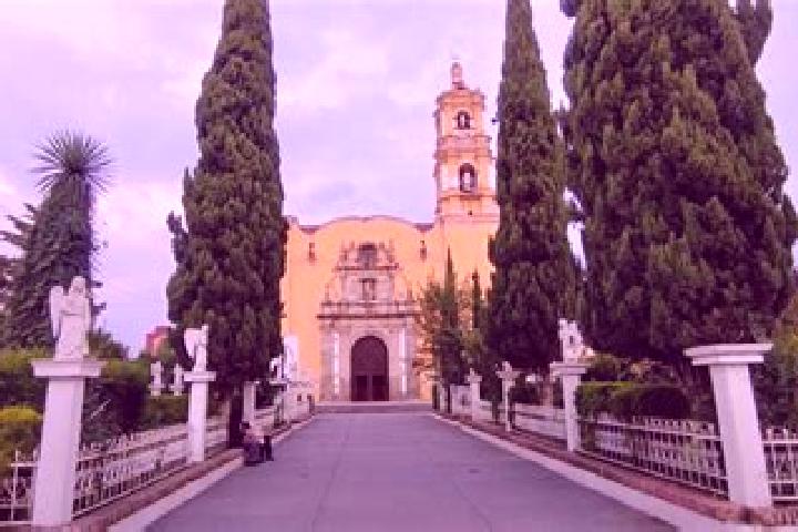 Ariana, 23 — Escort in Villa Cuauhtemoc, Mexico