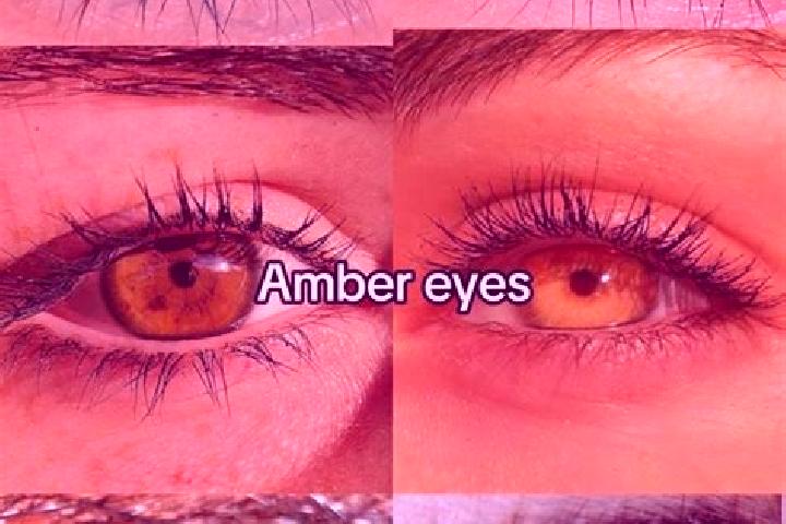 Ariana, 24, a chestnut amber-eyed middle eastern companion based in Abfaltersbach. Offering OWO, Roleplay, CIM. Available for incall and outcall, overnight b...