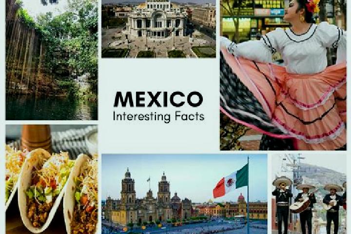 Ariana, 24 — Escort in Horcones, Mexico