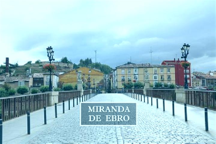 Ariana, 24 — Escort in Miranda de Arga, Spain